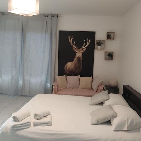 Chaleureux Studio Тулуза Экстерьер фото